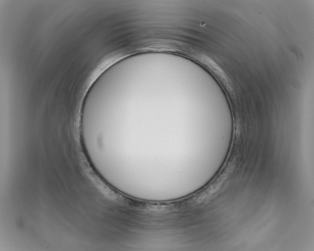 X0000111361378200907100947