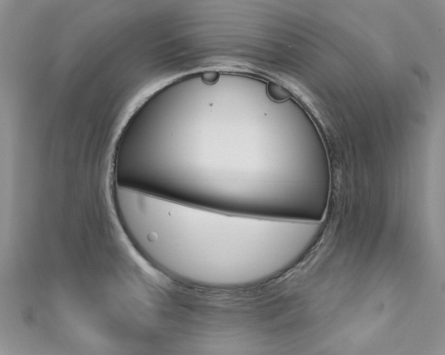 X0000111361379200907100947
