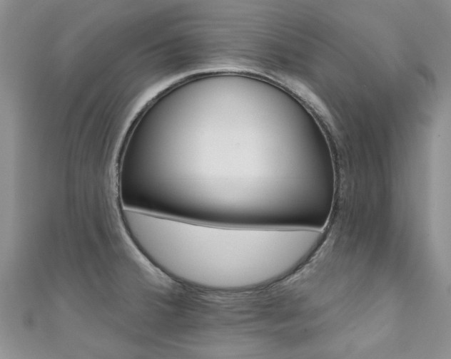 X0000111361380200907100947