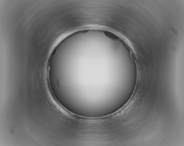 X0000111361381200907100947