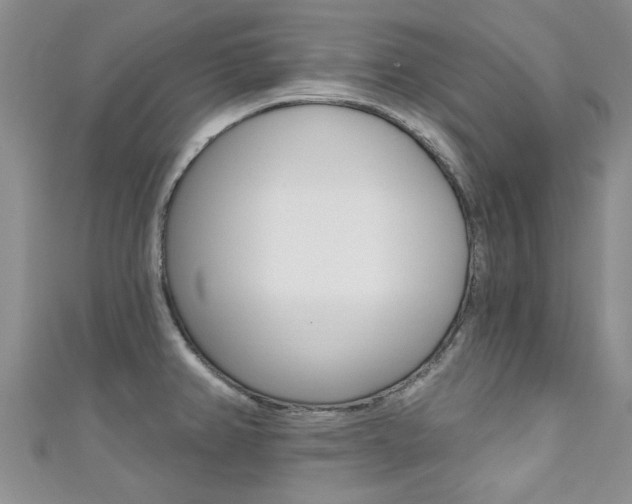 X0000111361382200907100947