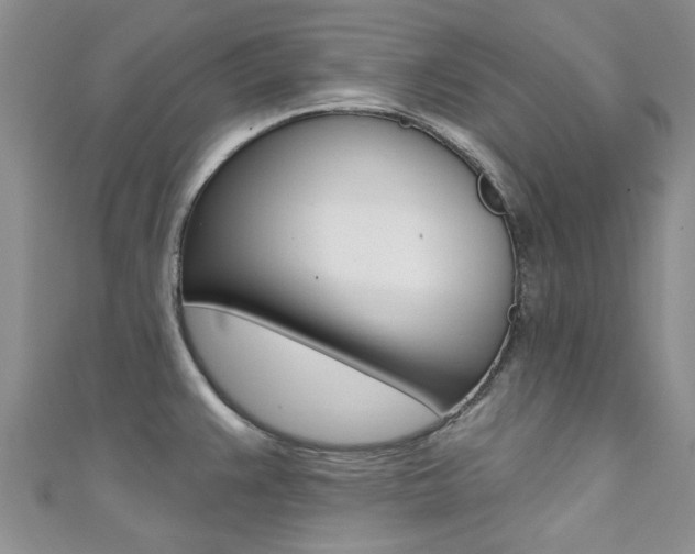 X0000111361383200907100947