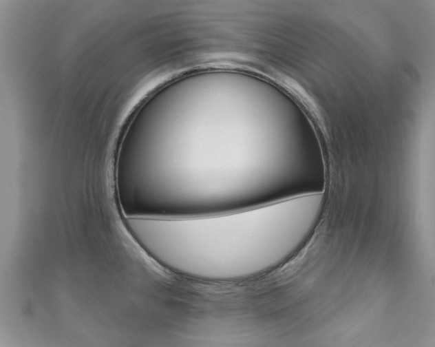 X0000111361384200907100947