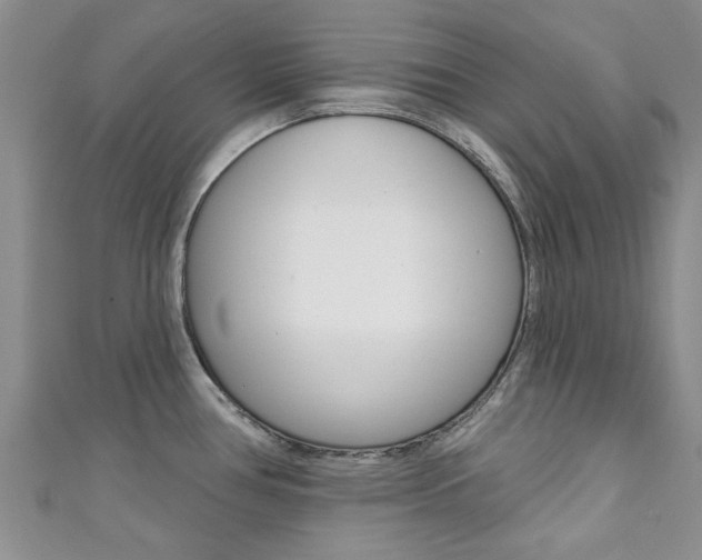 X0000111361386200907100947