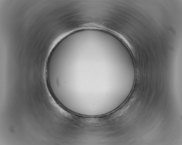 X0000111361387200907100947