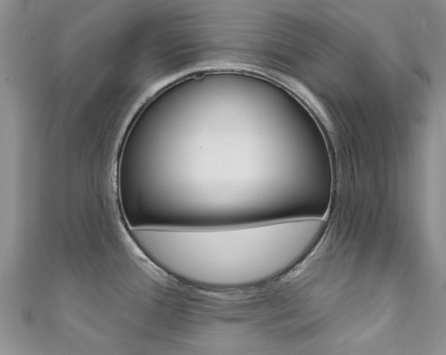 X0000111361388200907100947