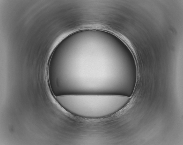 X0000111361389200907100947