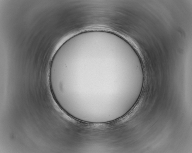 X0000111361390200907100947