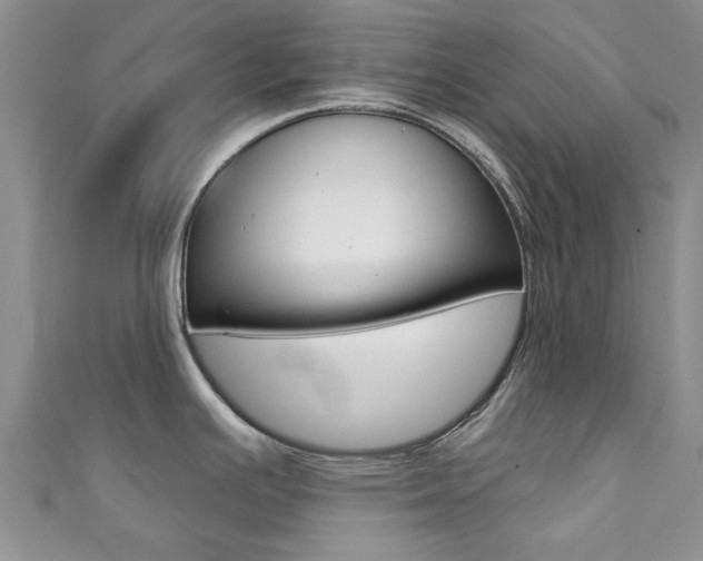 X0000111361391200907100947
