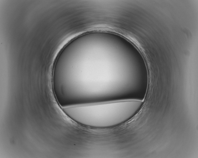 X0000111361392200907100947