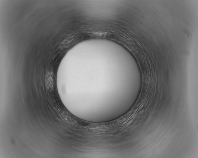 X0000111361394200907100946