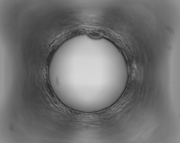X0000111361397200907100946