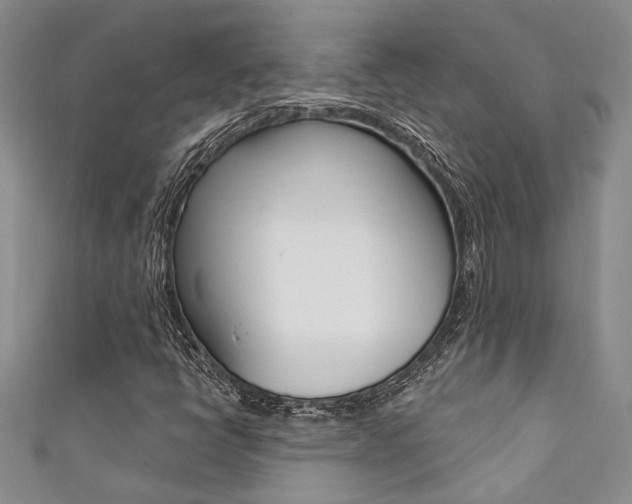 X0000111361398200907100946