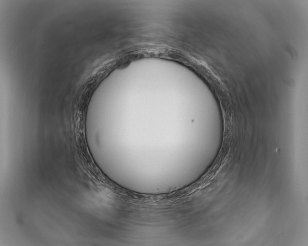 X0000111361399200907100946