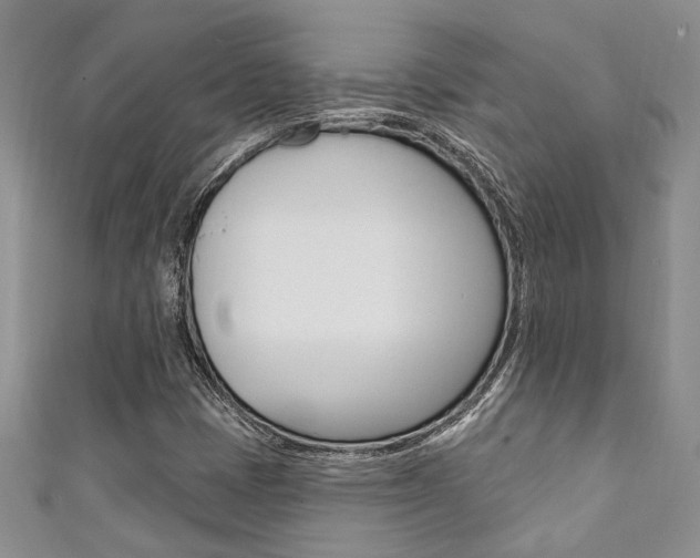 X0000111361401200907100946