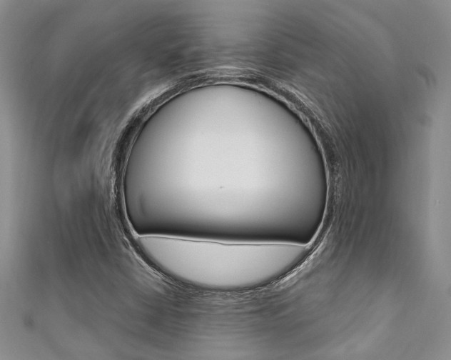X0000111361402200907100946