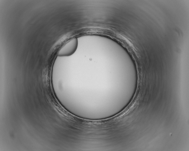 X0000111361403200907100946