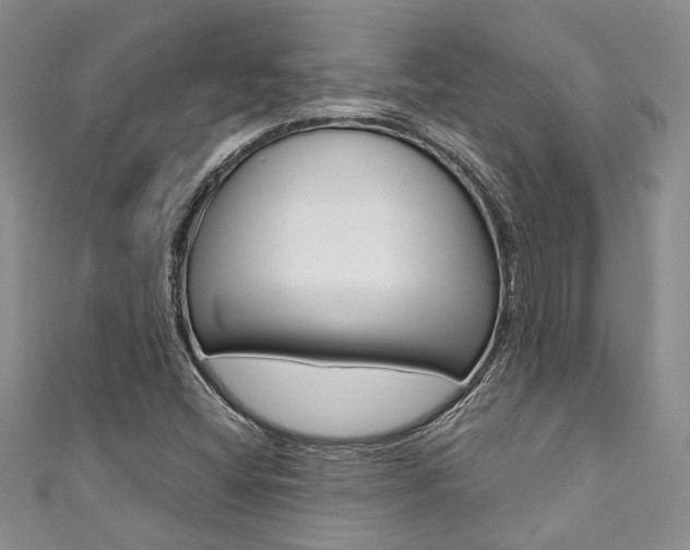 X0000111361404200907100946