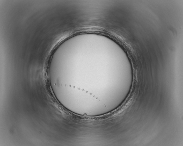 X0000111361405200907100946