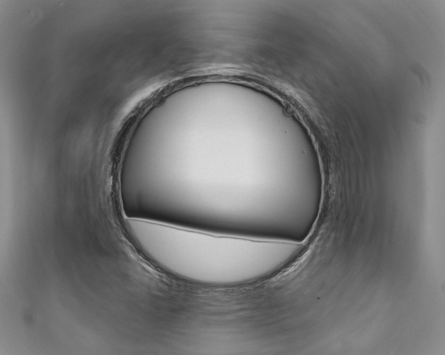 X0000111361406200907100946