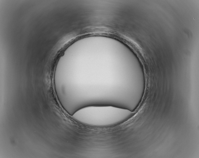 X0000111361407200907100946