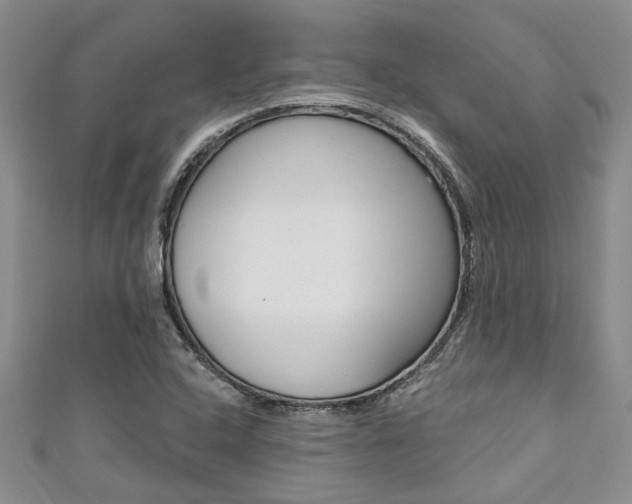 X0000111361408200907100946