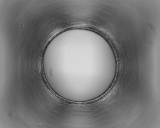 X0000111361409200907100946