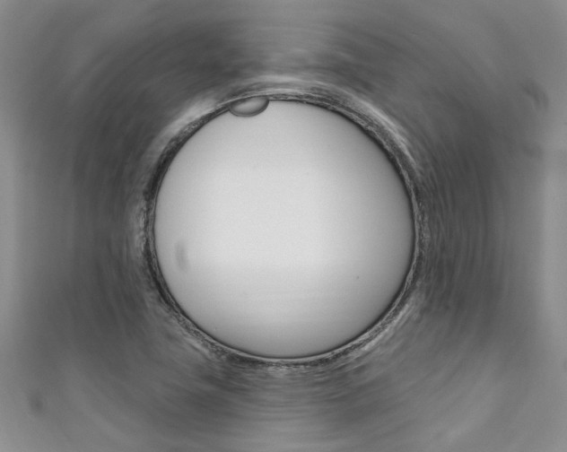X0000111361411200907100946