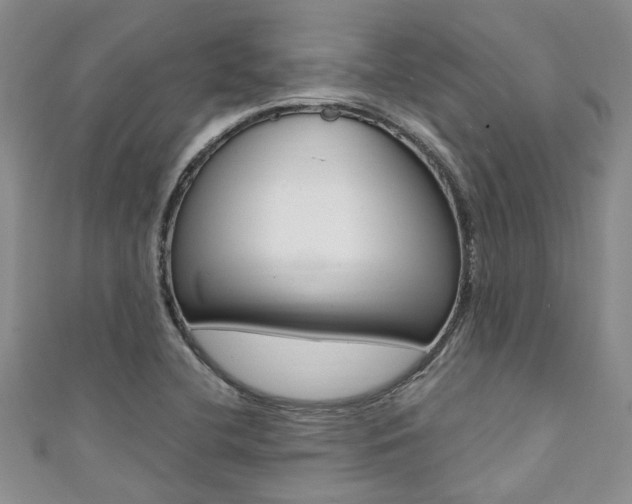 X0000111361412200907100946
