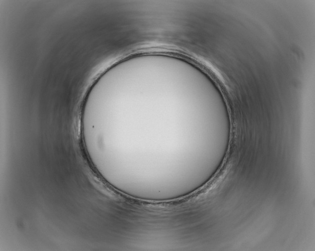 X0000111361413200907100946