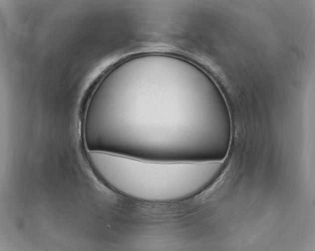 X0000111361414200907100946