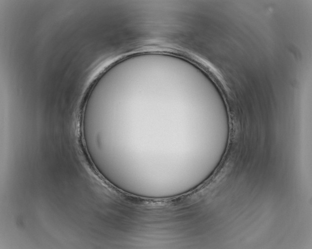 X0000111361415200907100946