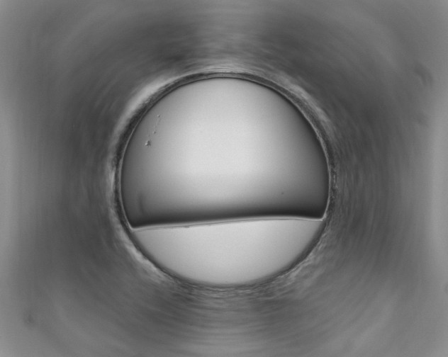X0000111361416200907100946
