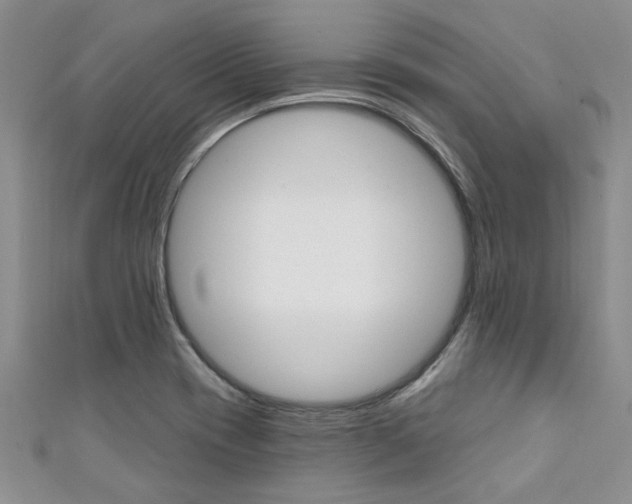 X0000111361417200907100946