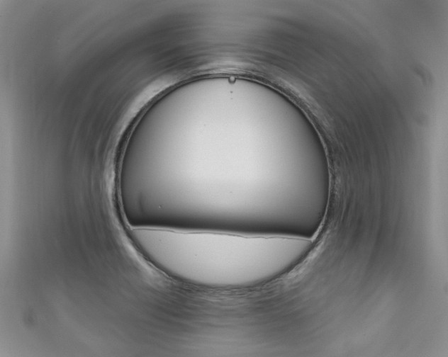 X0000111361418200907100946