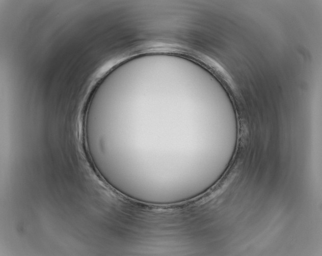 X0000111361419200907100946