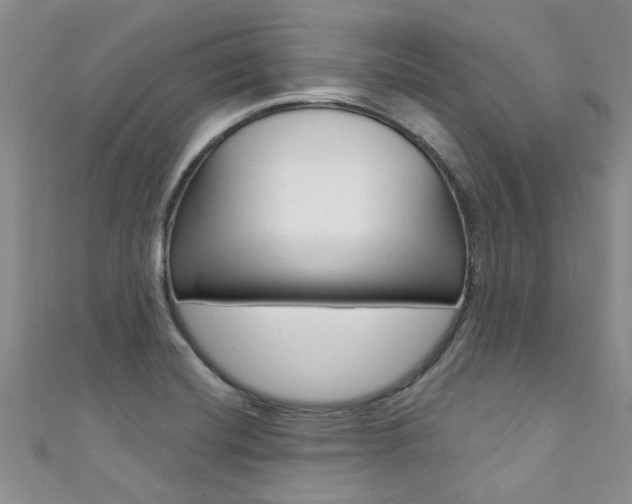 X0000111361420200907100946