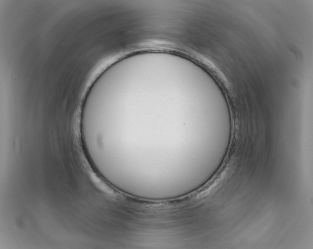 X0000111361421200907100946