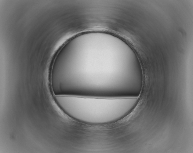 X0000111361422200907100946