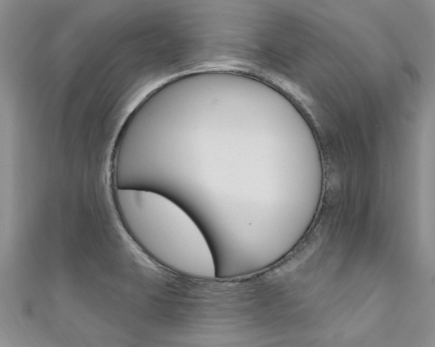X0000111361423200907100946