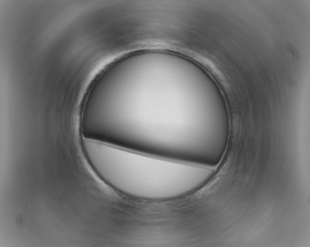 X0000111361424200907100946