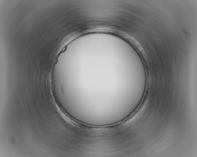 X0000111361425200907100946
