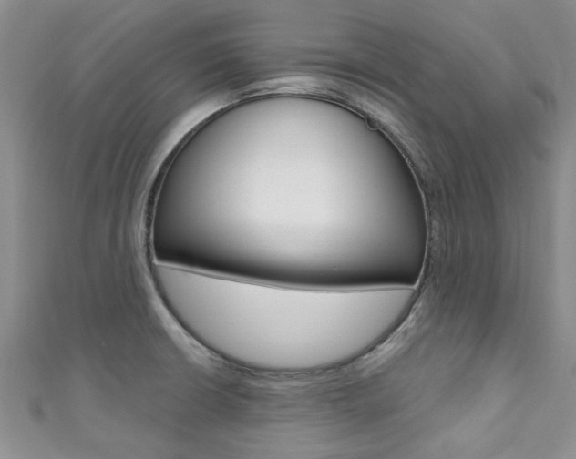 X0000111361426200907100946
