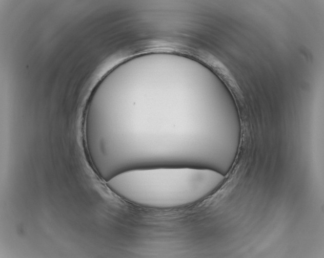 X0000111361427200907100946