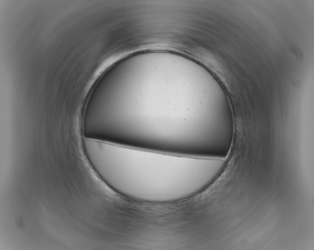 X0000111361428200907100946