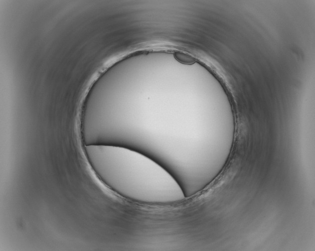 X0000111361429200907100946