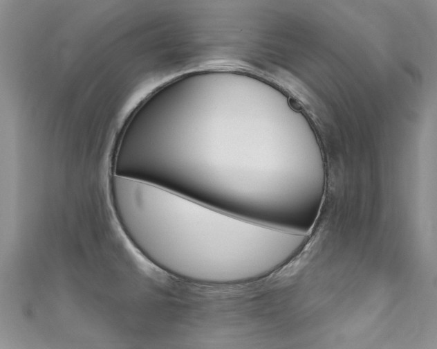 X0000111361430200907100946