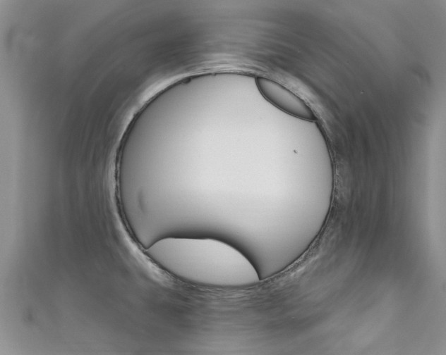 X0000111361431200907100946