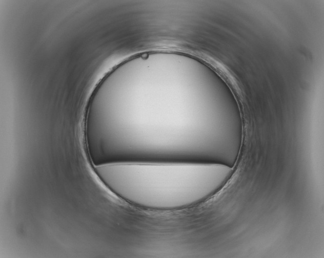 X0000111361432200907100946