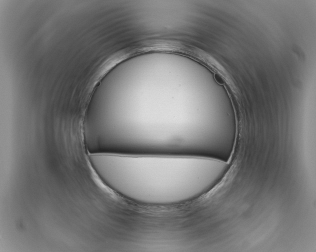 X0000111361433200907100946